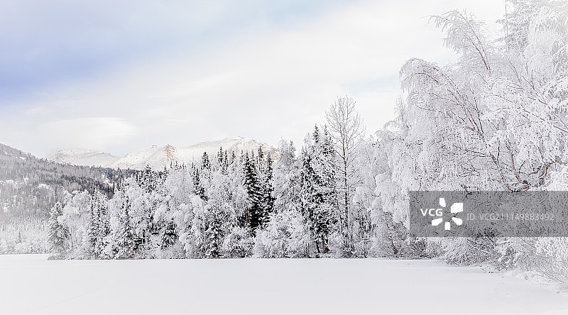 寒冷的早晨图片素材