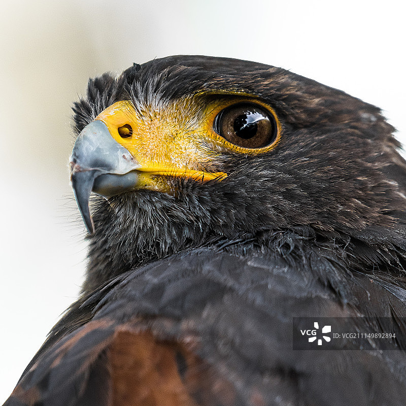 德国伊瑟隆风光图片素材