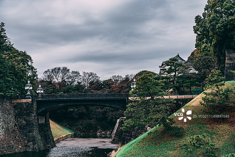 树后的宫殿图片素材