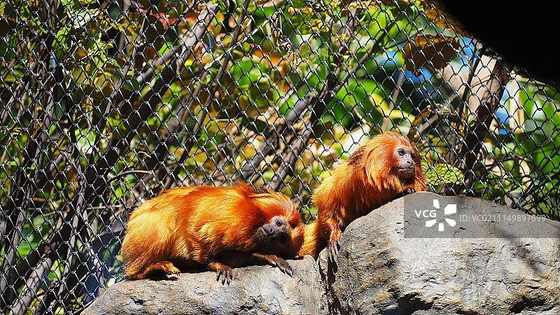 西班牙克鲁斯港图片素材