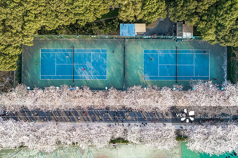 上海同济大学图片素材