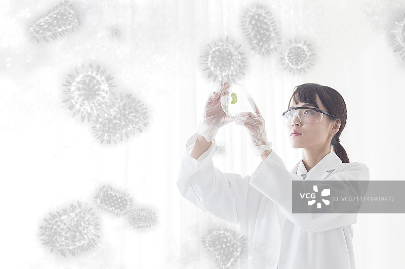 一位女性科学家在做基因改造图片素材