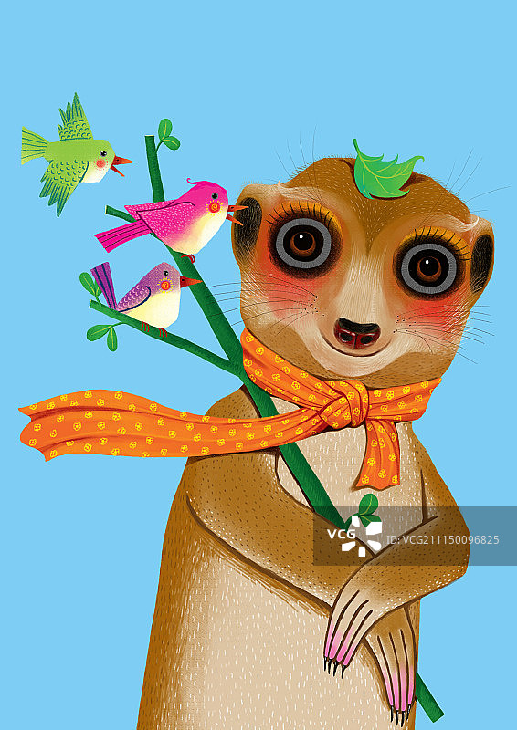 背景分离动物系列组图共3000多幅-站岗放哨的猫鼬图片素材