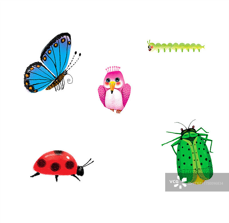 背景分离动物系列组图共3000多幅-昆虫和鸟图片素材