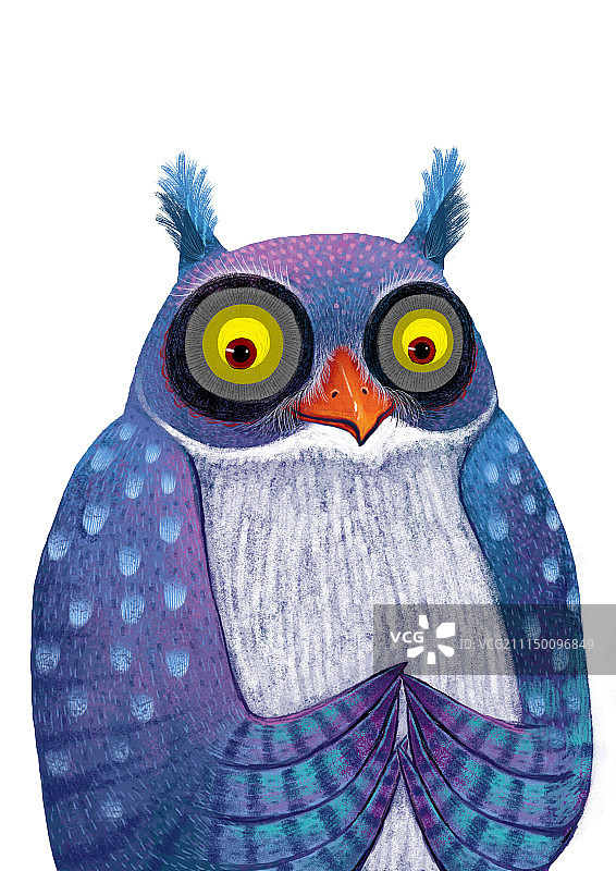 背景分离动物系列组图共3000多幅-蓝色猫头鹰图片素材