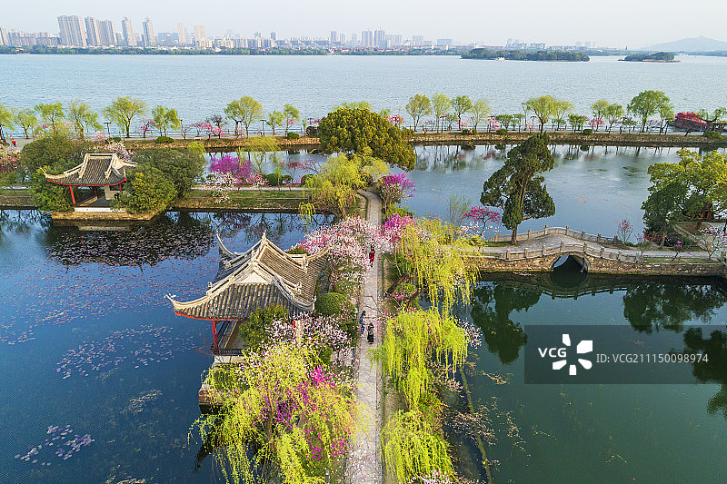 江南名园——蠡园图片素材