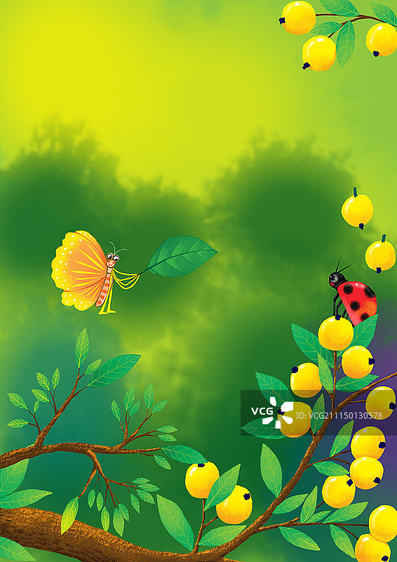唯美背景元素组图共3000多幅-枇杷树上的蝴蝶和瓢虫图片素材