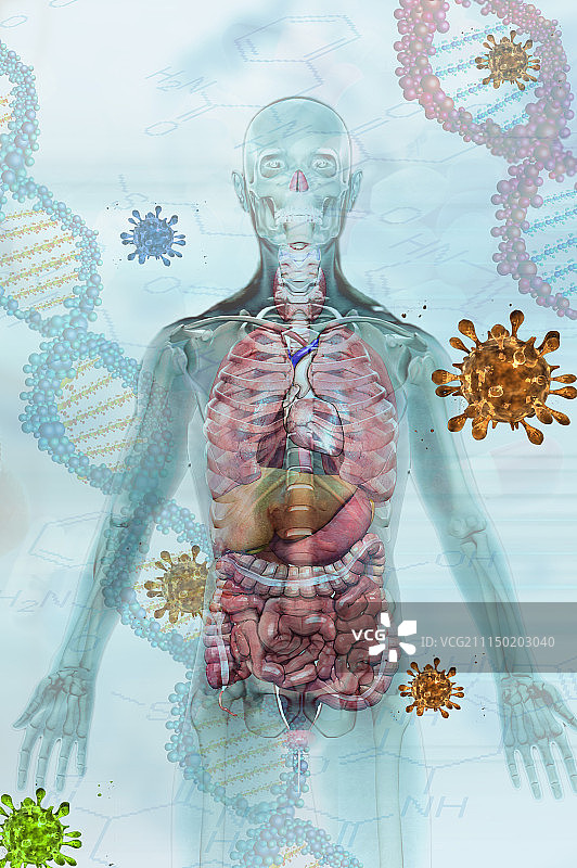 病毒与人体 免疫防御概念图片素材