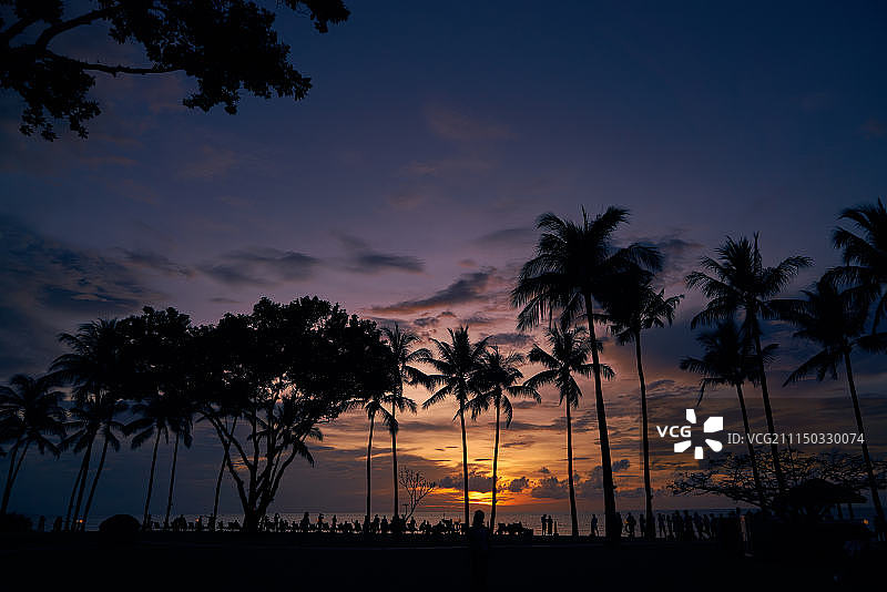 马来西亚沙巴椰林夕阳图片素材