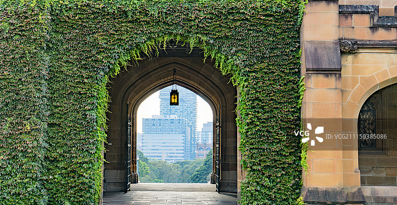 悉尼大学的拱门植物墙图片素材