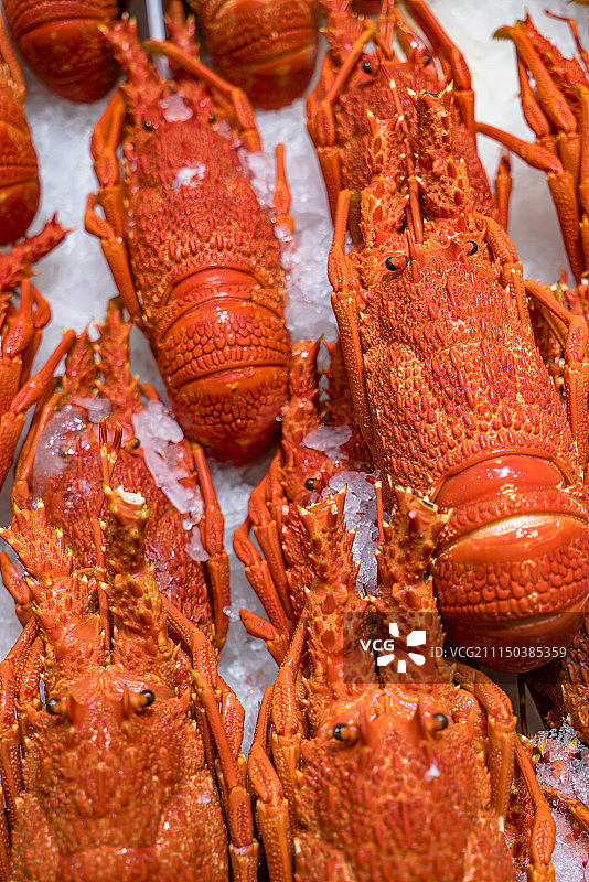 美味龙虾图片素材