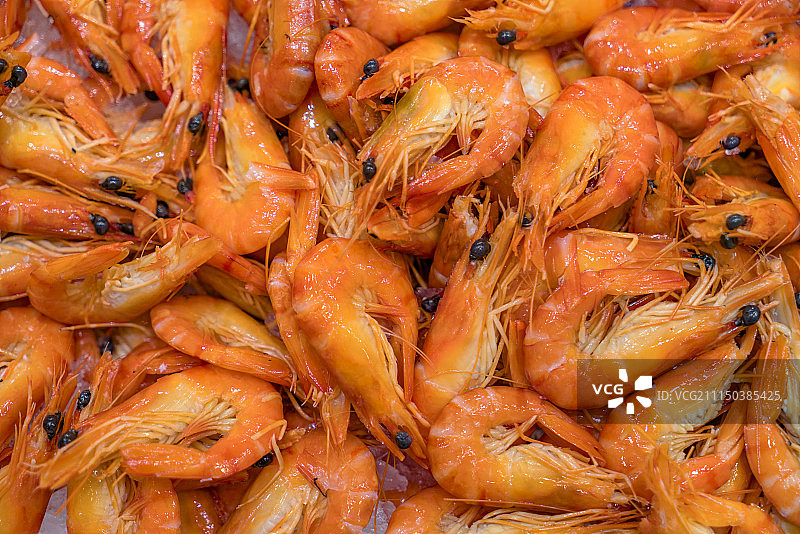 新鲜的北极虾图片素材