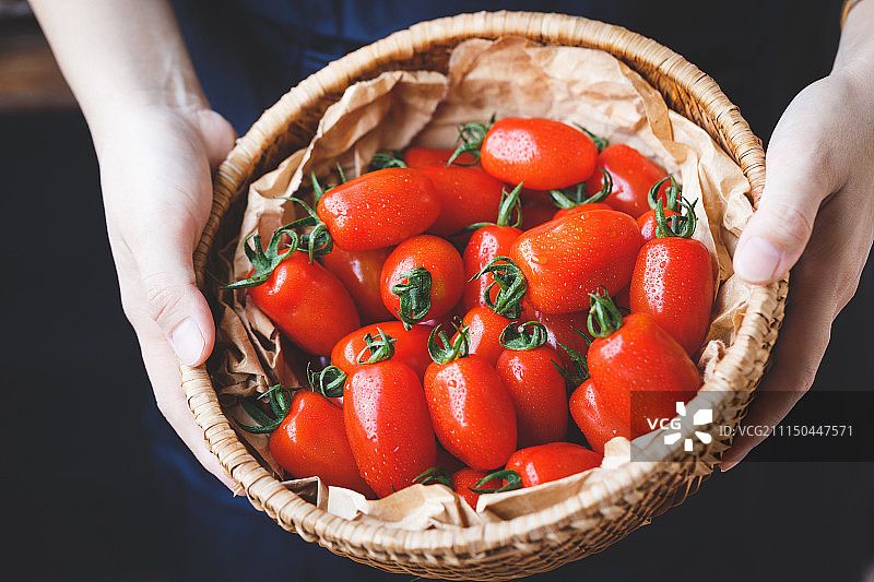 李子番茄——樱桃番茄图片素材