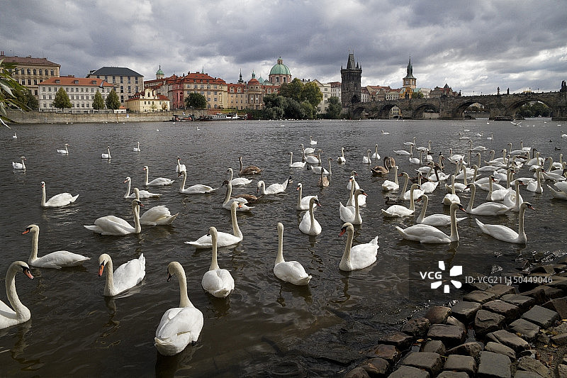 捷克共和国小城区图片素材