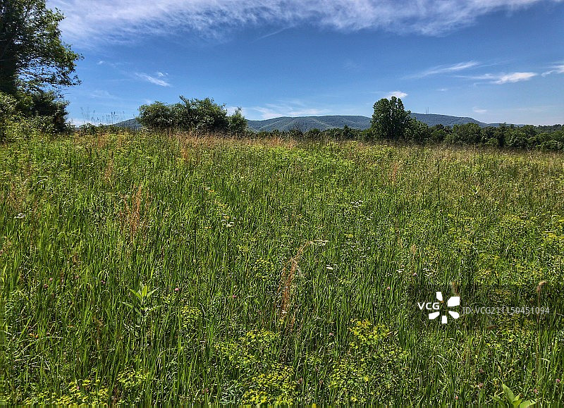 远处阿巴拉契亚山脉的山麓图片素材