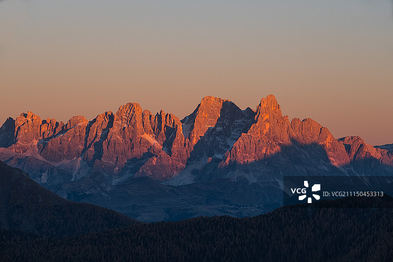 玫瑰色图片素材