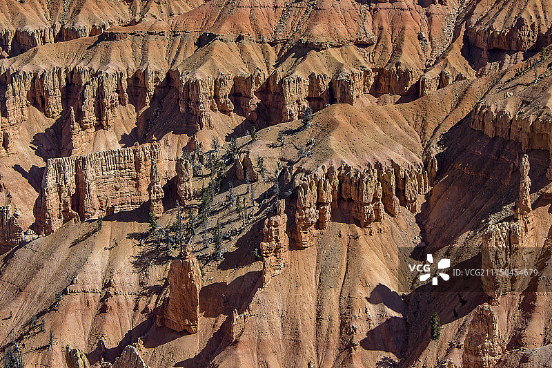 雪松打破国家纪念碑图片素材