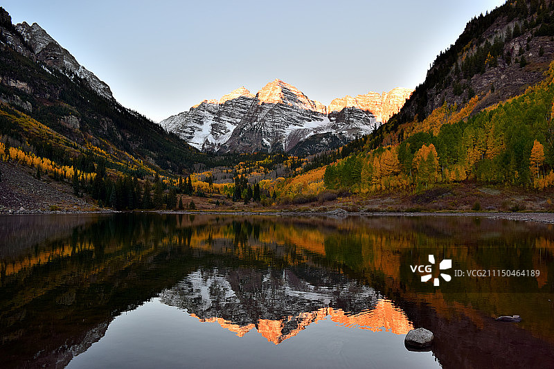 栗色钟图片素材