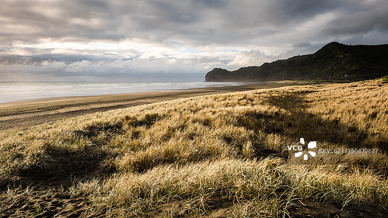 新西兰奥克兰派哈海滩日落图片素材