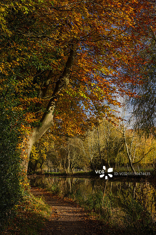 贝辛斯托克运河的秋色图片素材