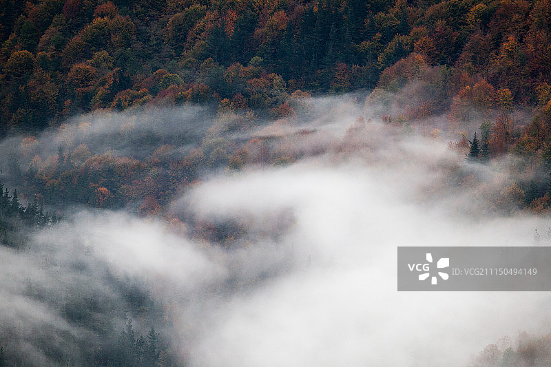 秋雾图片素材