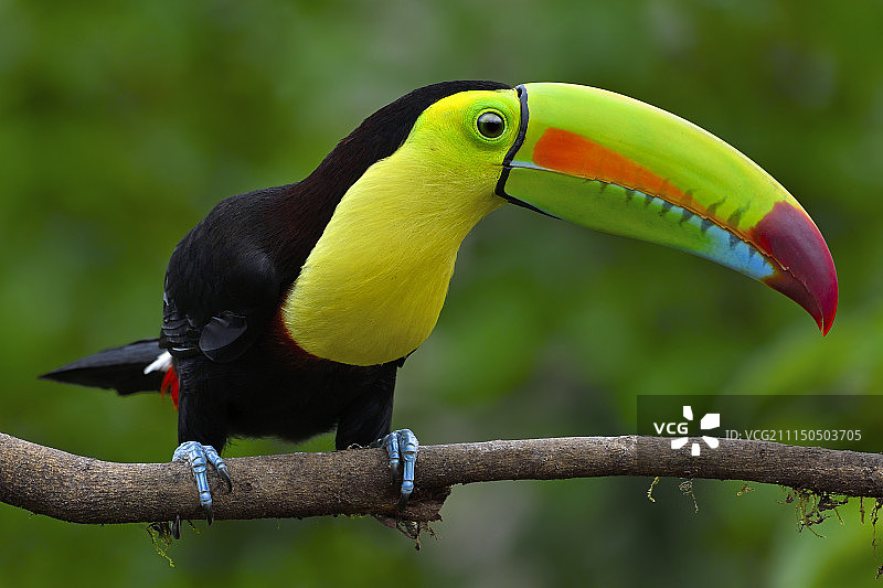 彩虹派对图片素材