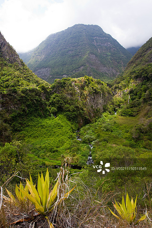 锡拉奥斯，留尼汪岛图片素材