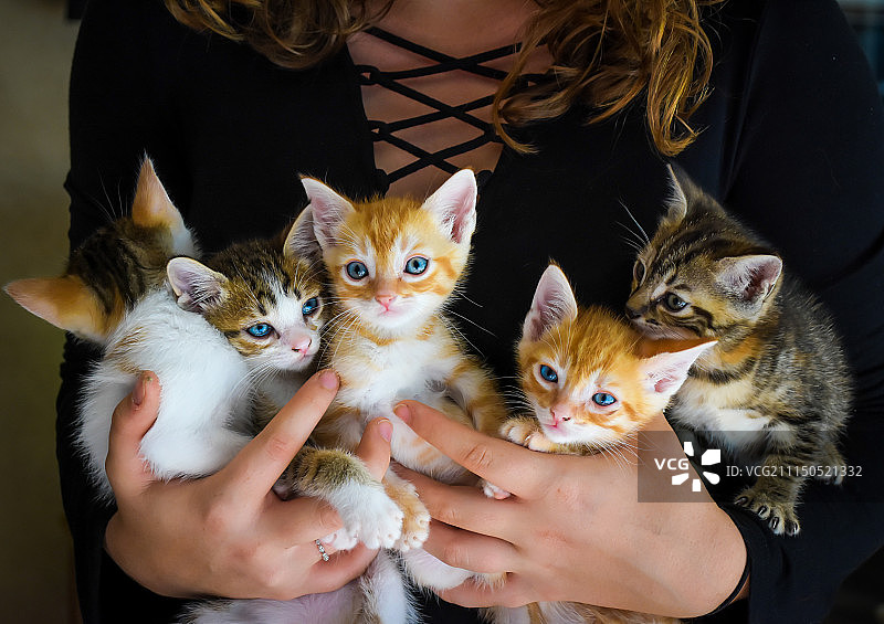 充满乐趣的双手图片素材