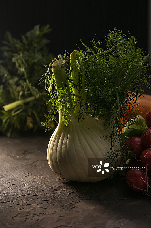 生态新鲜茴香配萝卜和胡萝卜图片素材