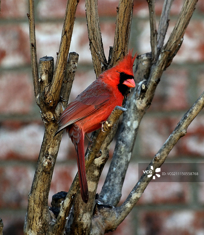 弯曲的颜色图片素材