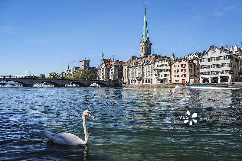 瑞士苏黎世老城与天鹅 Zurich, Switzerland图片素材