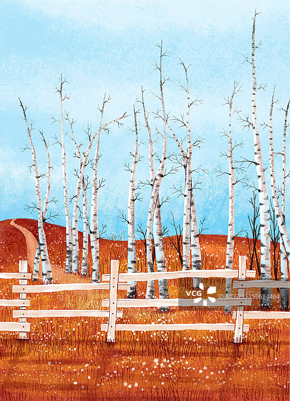 唯美背景元素组图共3000多幅-白桦林图片素材