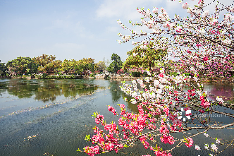 江南名园——蠡园图片素材