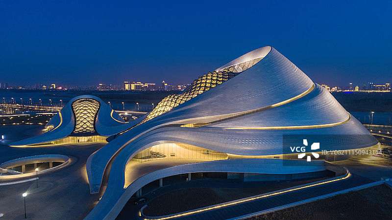 哈尔滨大剧院夜景航拍图片素材