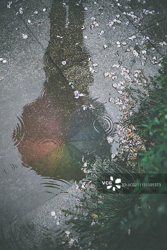 雨中人大图片素材