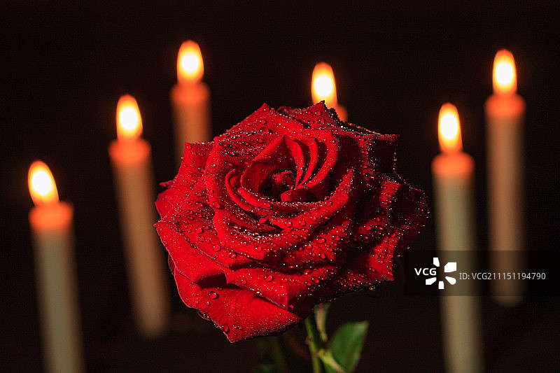 玫瑰与蜡烛图片素材