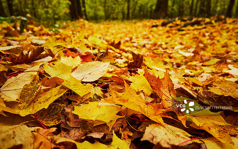 俄罗斯切博克萨雷图片素材
