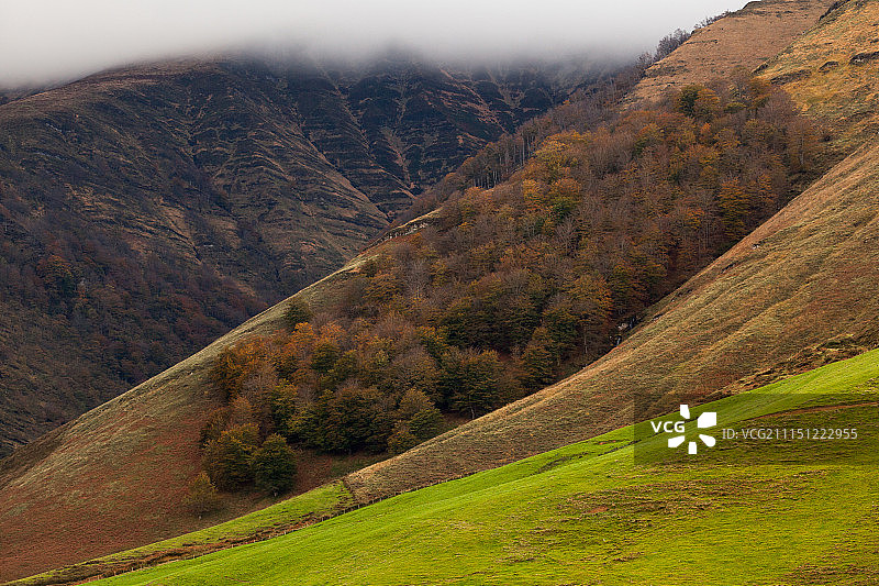 秋季背景图片素材