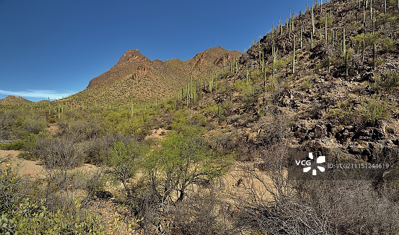 图森山脉沿途的路边休息站图片素材