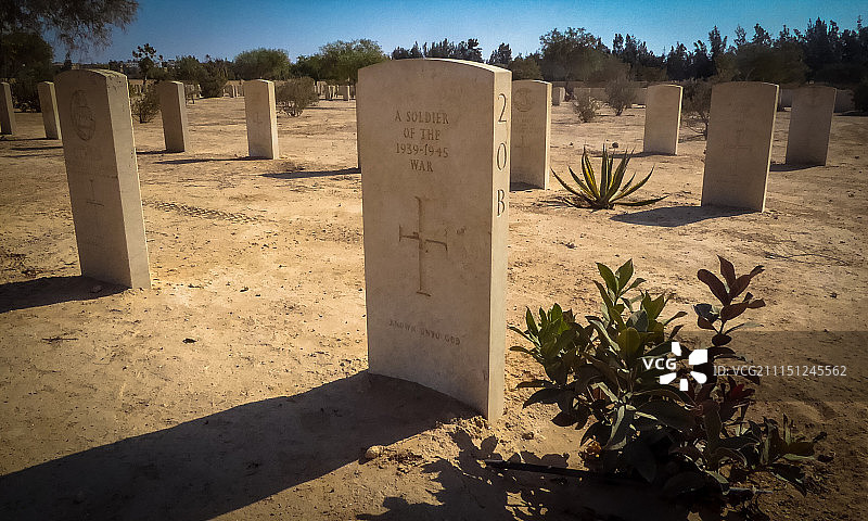 阿拉曼图片素材