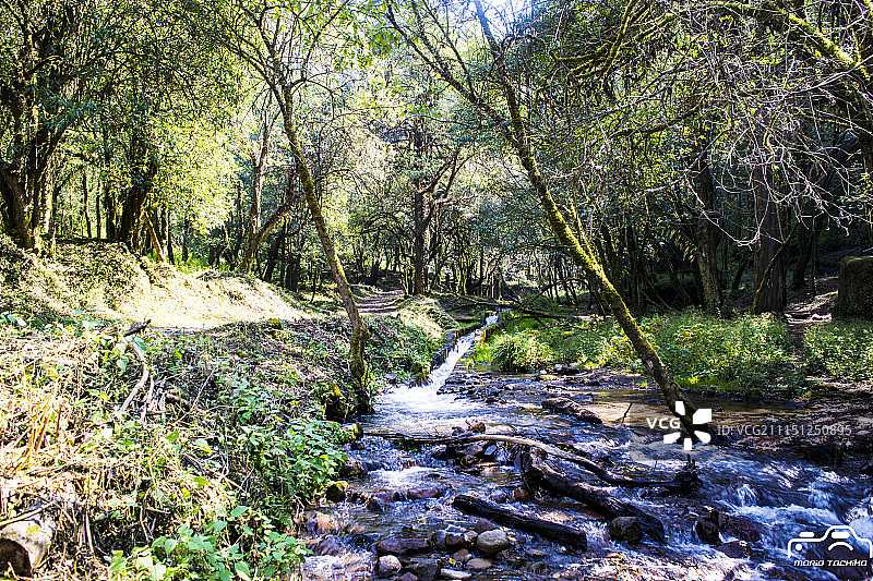 墨西哥特拉尔马纳尔科德委拉斯开兹图片素材