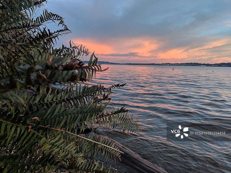 华盛顿湖的日落图片素材