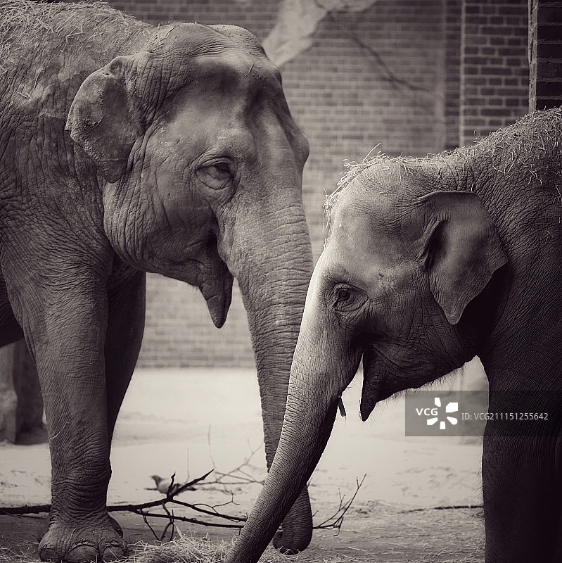 时代变迁图片素材