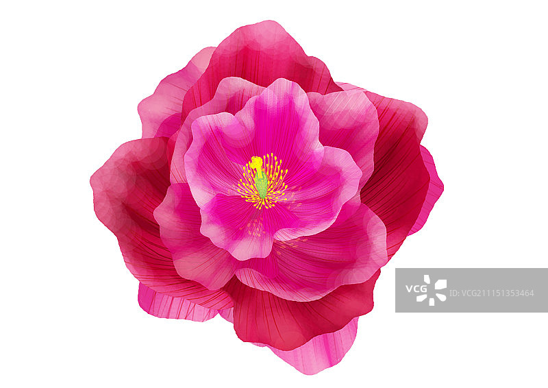 唯美背景元素组图共3000多幅-花朵图片素材