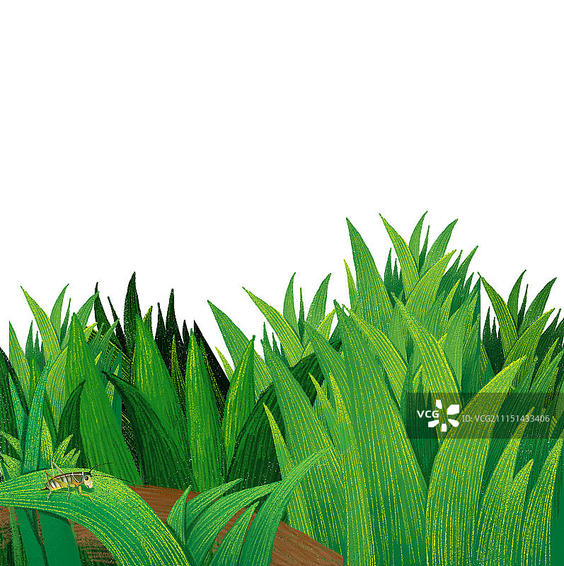 唯美背景元素组图共3000多幅-草丛上的昆虫图片素材