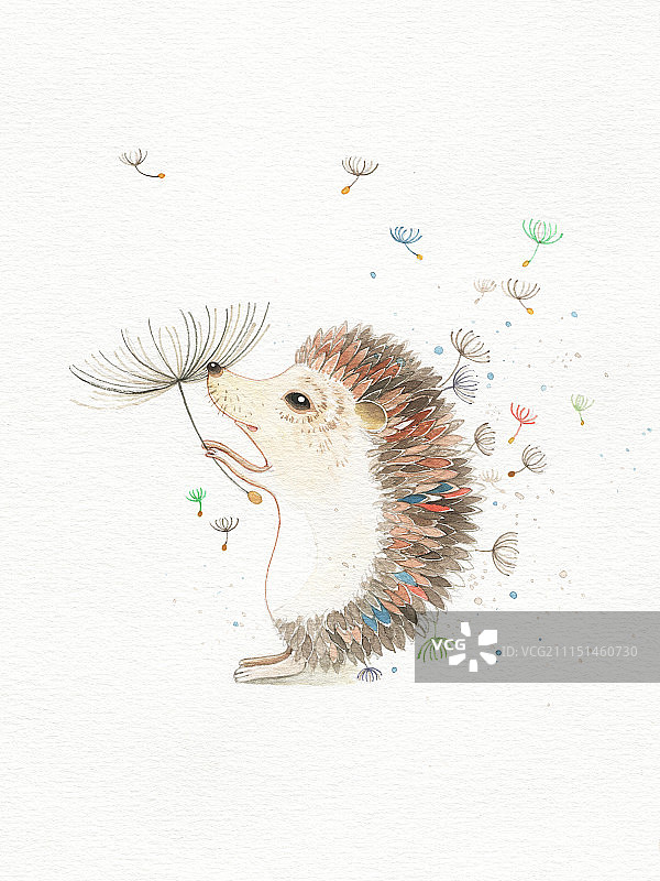 刺猬图片素材