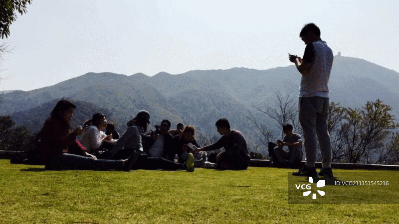 男子玩手机游戏，朋友们在草坪上放松图片素材