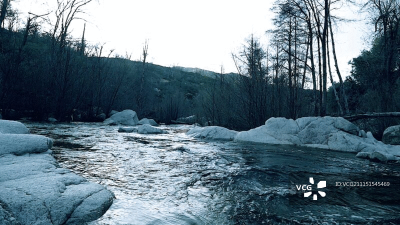 流动的河流与森林图片素材