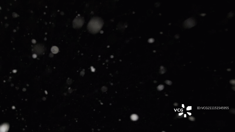 夜间降雪图片素材