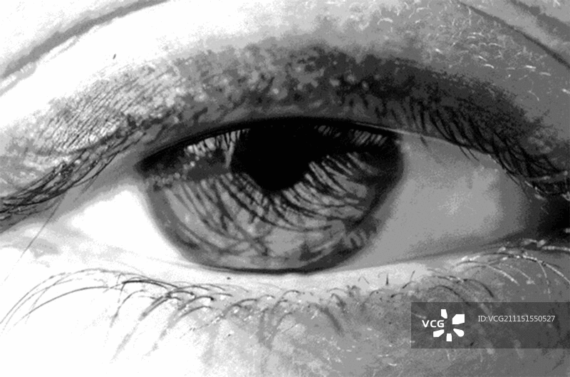 眼睛细节图片素材